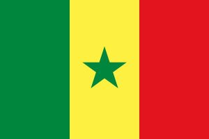 Die Flagge des Senegal