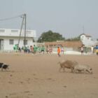 Sport Fußball - Bild 03